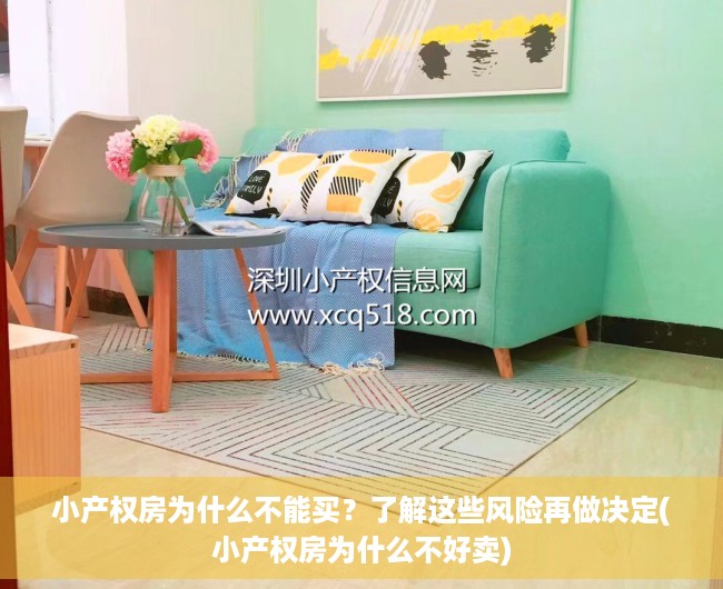 小产权房为什么不能买？了解这些风险再做决定(小产权房为什么不好卖)