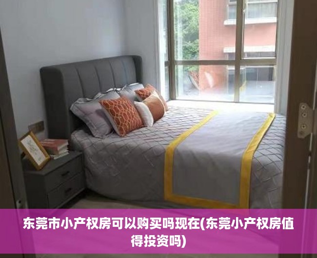 东莞市小产权房可以购买吗现在(东莞小产权房值得投资吗)