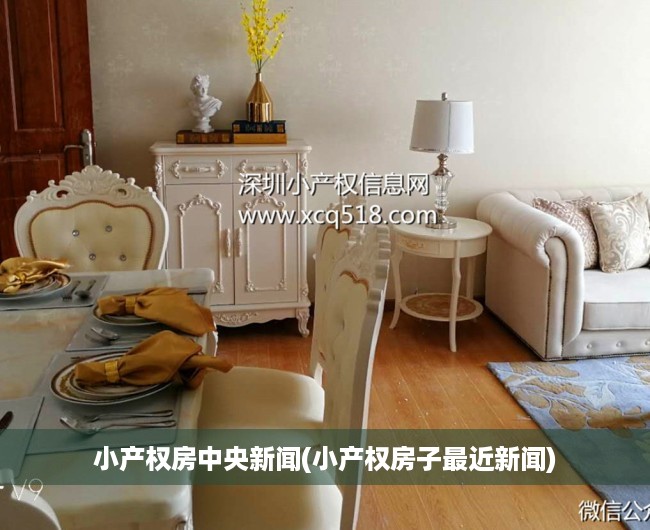 小产权房中央新闻(小产权房子最近新闻) 小产权房中央新闻(小产权房子最近新闻)