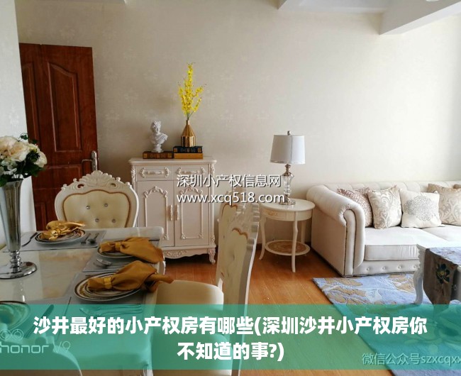 沙井最好的小产权房有哪些(深圳沙井小产权房你不知道的事?)