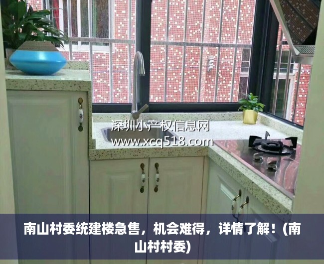 南山村委统建楼急售，机会难得，详情了解！(南山村村委)