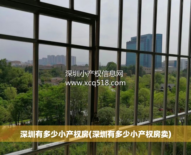 深圳有多少小产权房(深圳有多少小产权房卖)