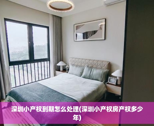 深圳小产权到期怎么处理(深圳小产权房产权多少年)