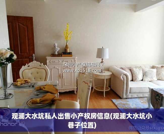 观澜大水坑私人出售小产权房信息(观澜大水坑小巷子位置)
