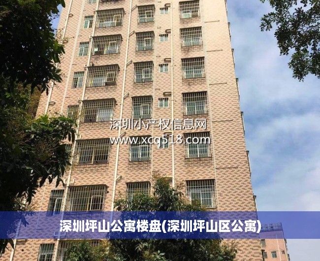 深圳坪山公寓楼盘(深圳坪山区公寓) 深圳坪山公寓楼盘(深圳坪山区公寓)