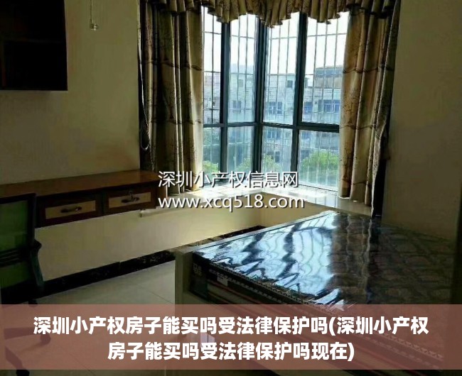 深圳小产权房子能买吗受法律保护吗(深圳小产权房子能买吗受法律保护吗现在)