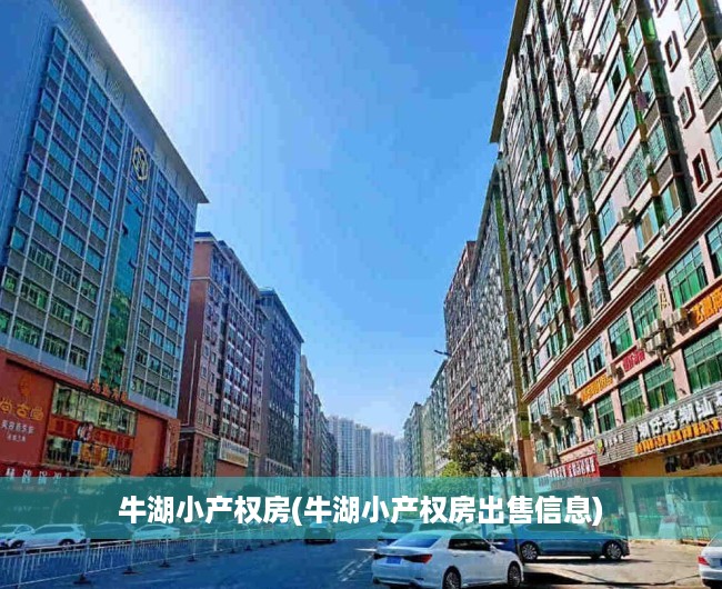 牛湖小产权房(牛湖小产权房出售信息) 牛湖小产权房(牛湖小产权房出售信息)