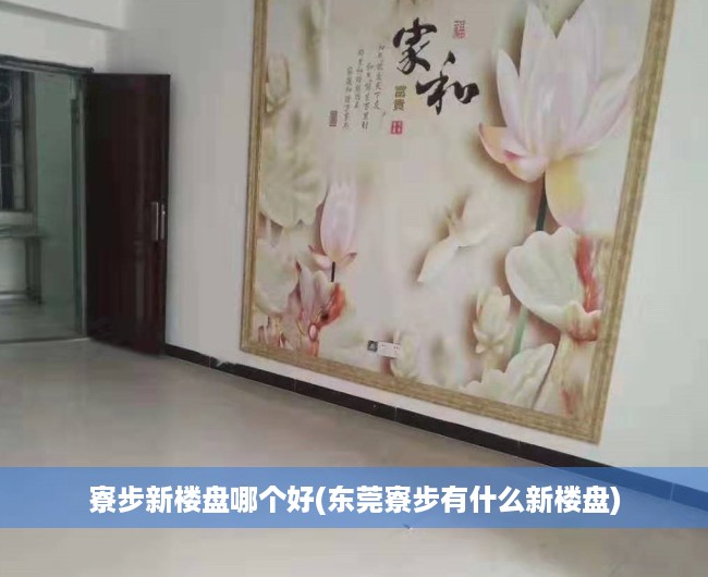 寮步新楼盘哪个好(东莞寮步有什么新楼盘) 寮步新楼盘哪个好(东莞寮步有什么新楼盘)