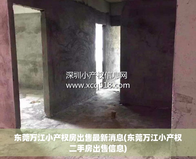 东莞万江小产权房出售最新消息(东莞万江小产权二手房出售信息) 东莞万江小产权房出售最新消息(东莞万江小产权二手房出售信息)