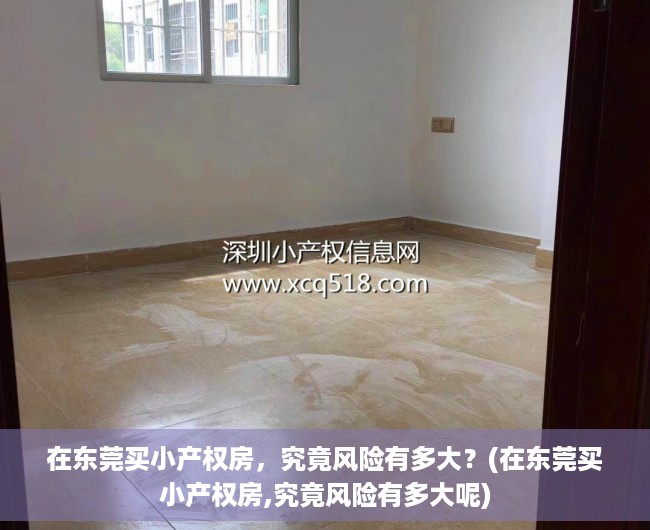 在东莞买小产权房，究竟风险有多大？(在东莞买小产权房,究竟风险有多大呢)