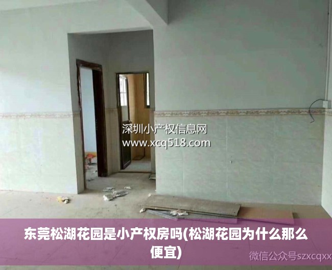 东莞松湖花园是小产权房吗(松湖花园为什么那么便宜) 东莞松湖花园是小产权房吗(松湖花园为什么那么便宜)