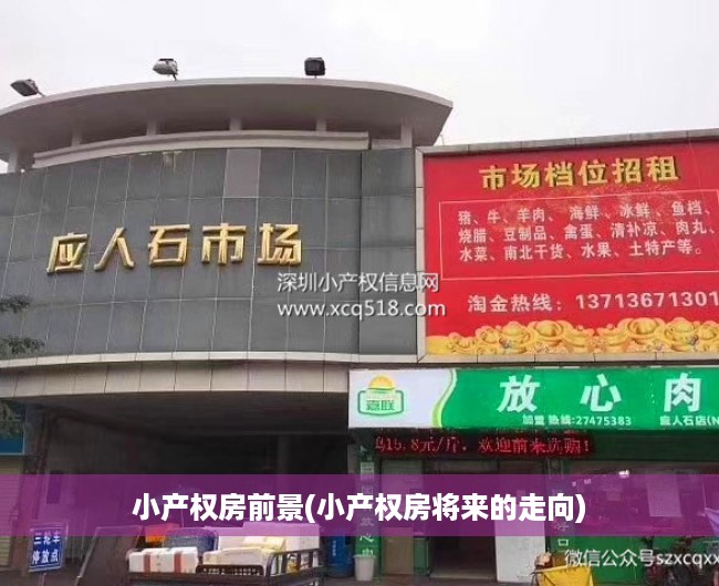 小产权房前景(小产权房将来的走向)