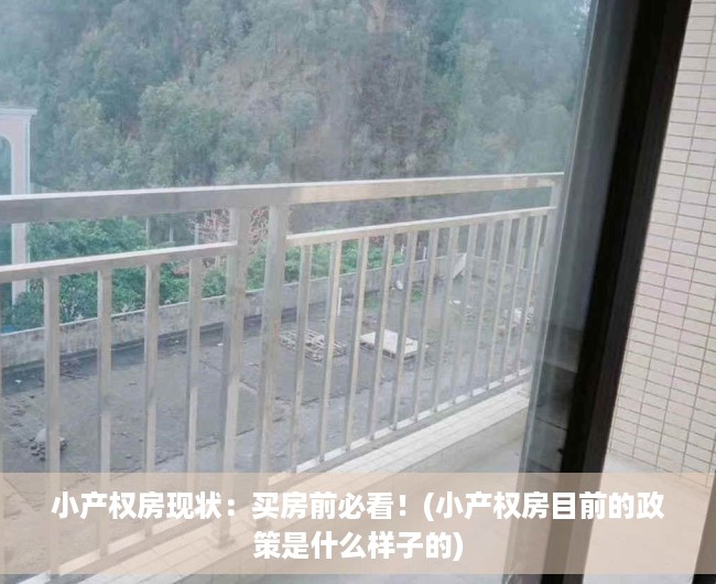 小产权房现状：买房前必看！(小产权房目前的政策是什么样子的)