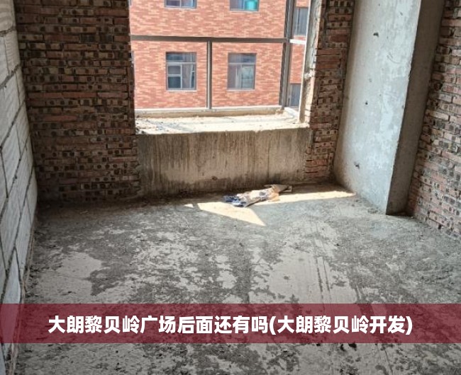 大朗黎贝岭广场后面还有吗(大朗黎贝岭开发) 大朗黎贝岭广场后面还有吗(大朗黎贝岭开发)