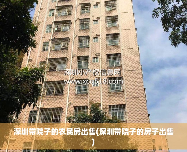 深圳带院子的农民房出售(深圳带院子的房子出售)