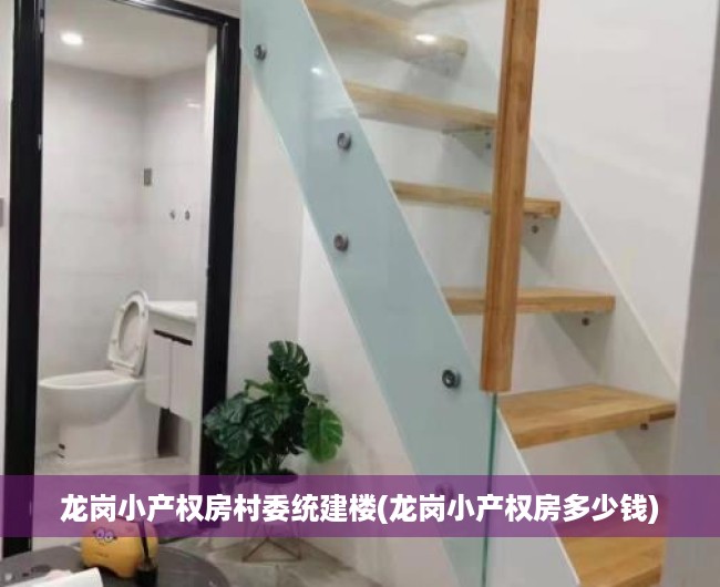 龙岗小产权房村委统建楼(龙岗小产权房多少钱) 龙岗小产权房村委统建楼(龙岗小产权房多少钱)