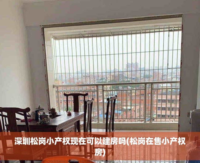 深圳松岗小产权现在可以建房吗(松岗在售小产权房) 深圳松岗小产权现在可以建房吗(松岗在售小产权房)