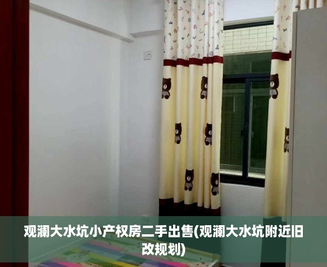 观澜大水坑小产权房二手出售(观澜大水坑附近旧改规划)