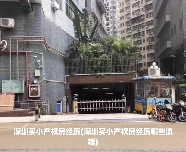 深圳买小产权房经历(深圳买小产权房经历哪些流程) 深圳买小产权房经历(深圳买小产权房经历哪些流程)