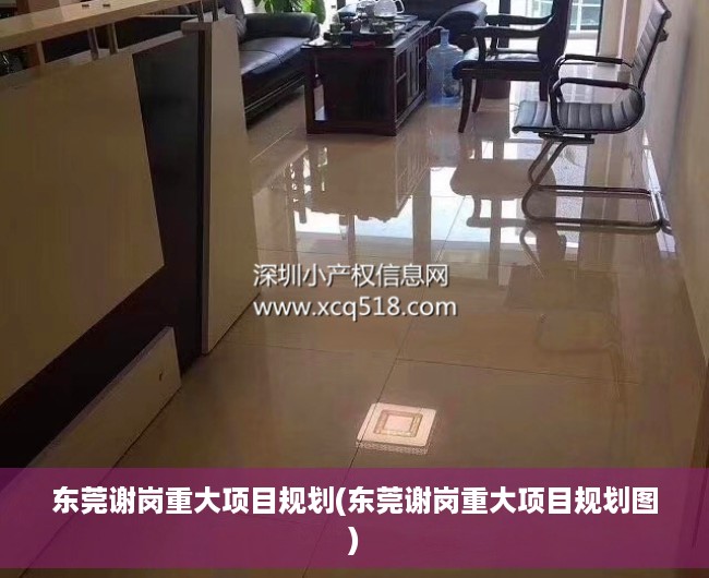 东莞谢岗重大项目规划(东莞谢岗重大项目规划图)