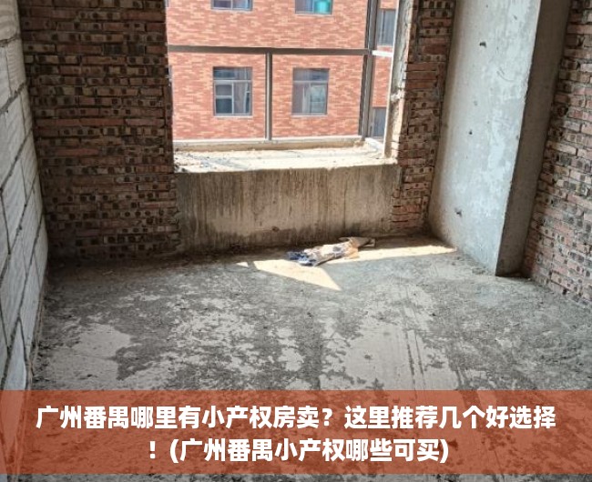广州番禺哪里有小产权房卖？这里推荐几个好选择！(广州番禺小产权哪些可买)