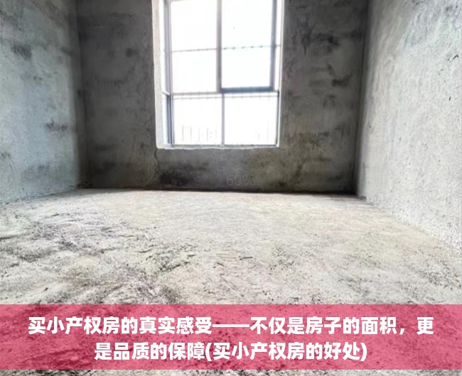 买小产权房的真实感受——不仅是房子的面积，更是品质的保障(买小产权房的好处)