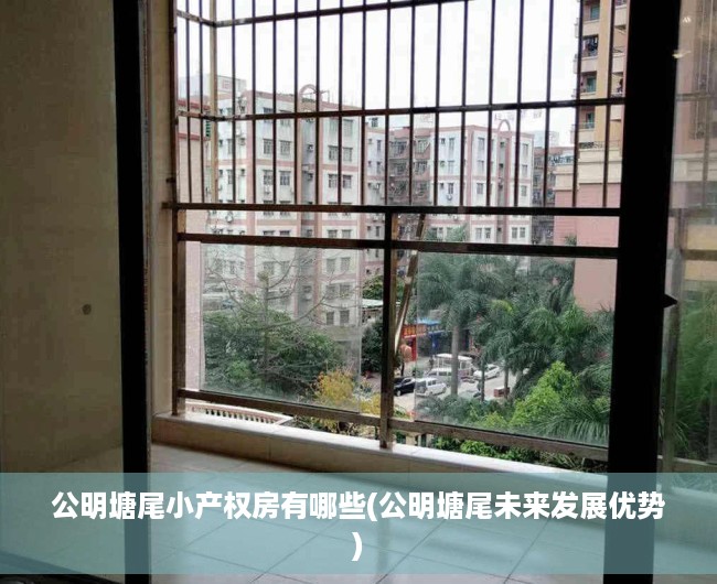 公明塘尾小产权房有哪些(公明塘尾未来发展优势)