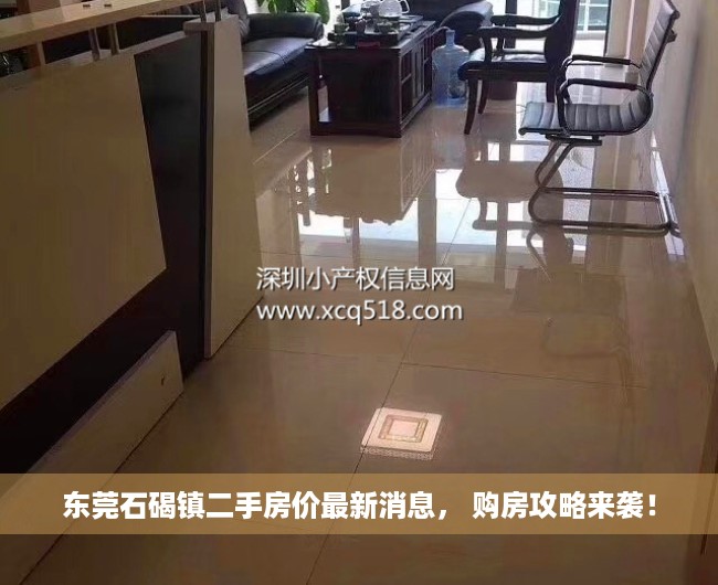 东莞石碣镇二手房价最新消息， 购房攻略来袭！