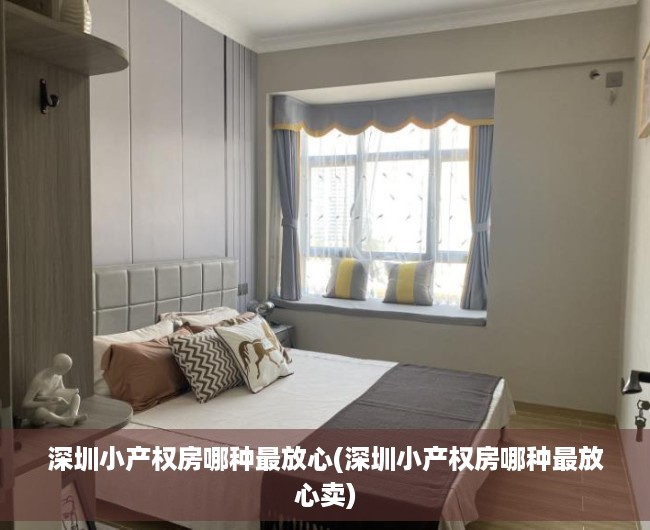 深圳小产权房哪种最放心(深圳小产权房哪种最放心卖)