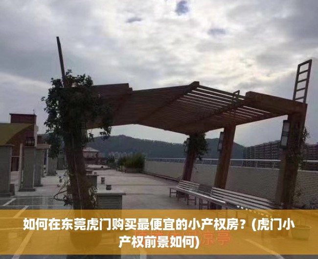 如何在东莞虎门购买最便宜的小产权房？(虎门小产权前景如何)