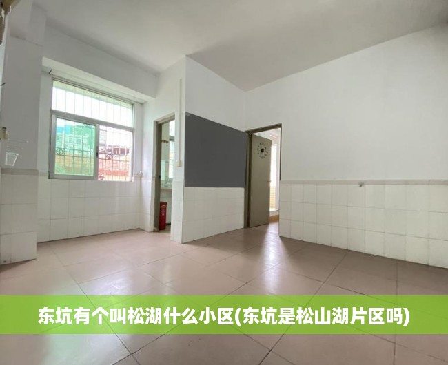 东坑有个叫松湖什么小区(东坑是松山湖片区吗)