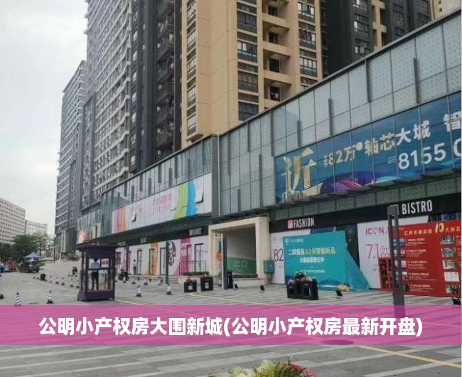 公明小产权房大围新城(公明小产权房最新开盘)