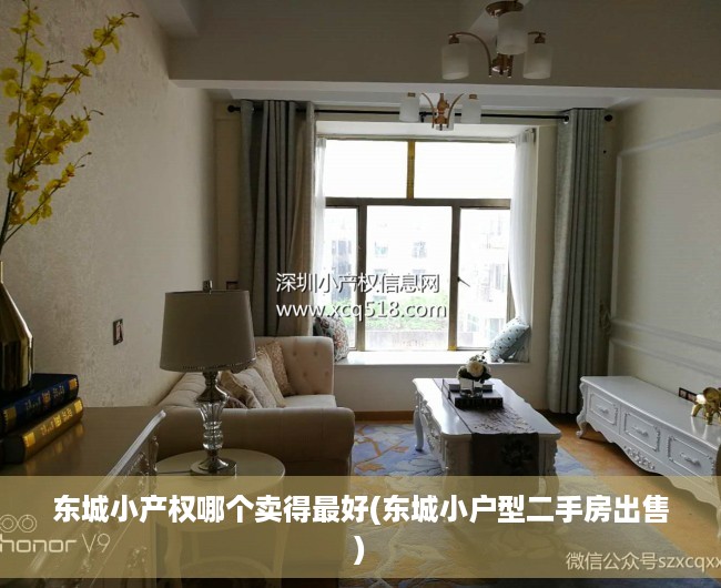 东城小产权哪个卖得最好(东城小户型二手房出售) 东城小产权哪个卖得最好(东城小户型二手房出售)