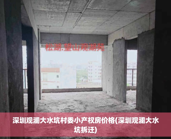 深圳观澜大水坑村委小产权房价格(深圳观澜大水坑拆迁)