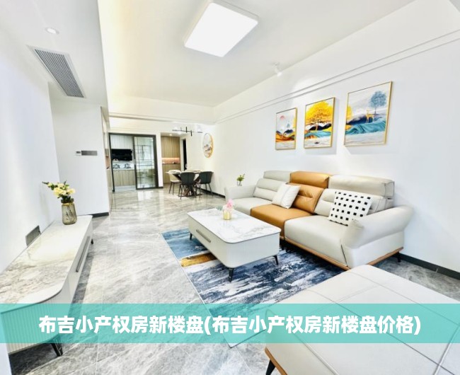 布吉小产权房新楼盘(布吉小产权房新楼盘价格)