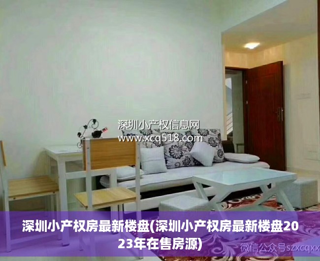 深圳小产权房最新楼盘(深圳小产权房最新楼盘2023年在售房源)