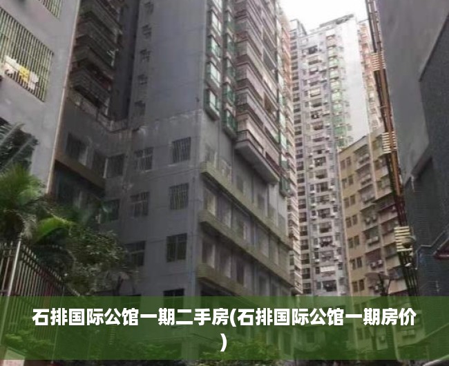 石排国际公馆一期二手房(石排国际公馆一期房价)