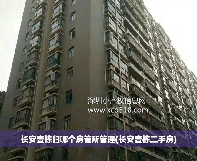 长安壹栋归哪个房管所管理(长安壹栋二手房)