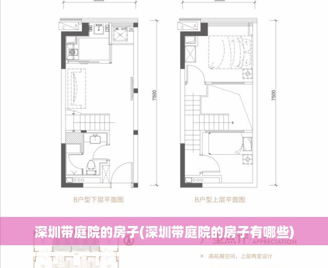 深圳带庭院的房子(深圳带庭院的房子有哪些)