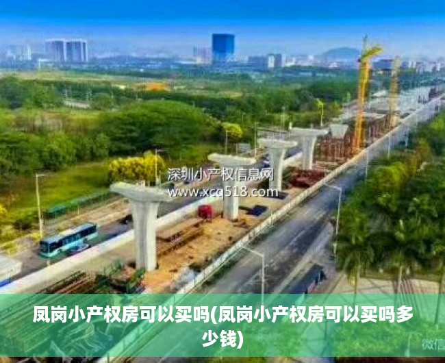 凤岗小产权房可以买吗(凤岗小产权房可以买吗多少钱)