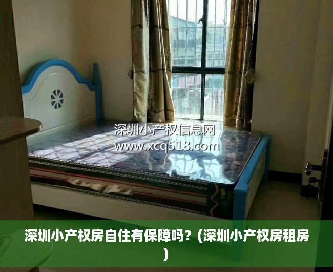 深圳小产权房自住有保障吗？(深圳小产权房租房)