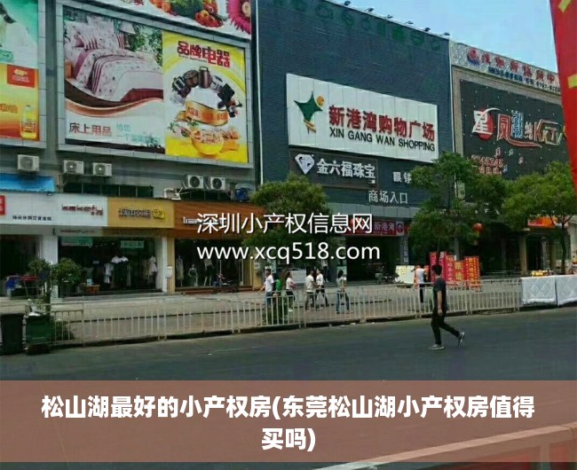 松山湖最好的小产权房(东莞松山湖小产权房值得买吗) 松山湖最好的小产权房(东莞松山湖小产权房值得买吗)