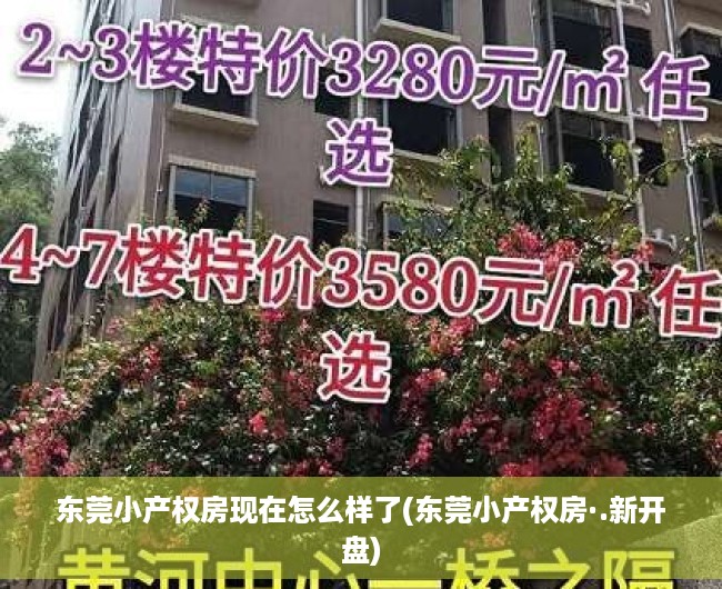 东莞小产权房现在怎么样了(东莞小产权房·.新开盘) 东莞小产权房现在怎么样了(东莞小产权房·.新开盘)