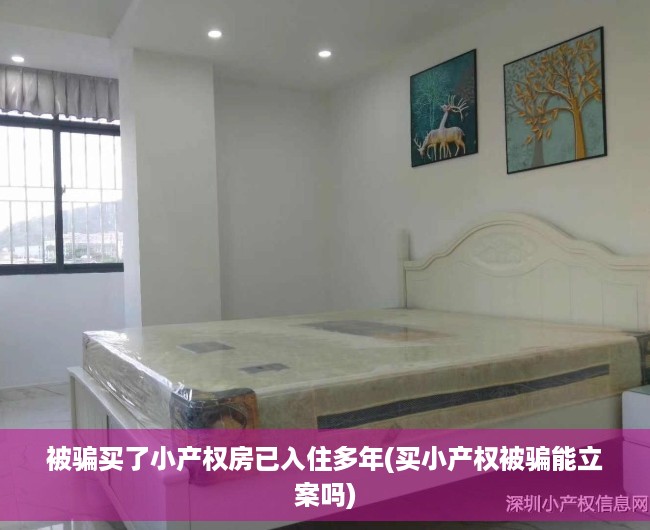 被骗买了小产权房已入住多年(买小产权被骗能立案吗) 被骗买了小产权房已入住多年(买小产权被骗能立案吗)