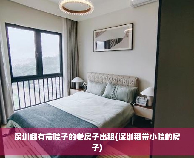 深圳哪有带院子的老房子出租(深圳租带小院的房子)