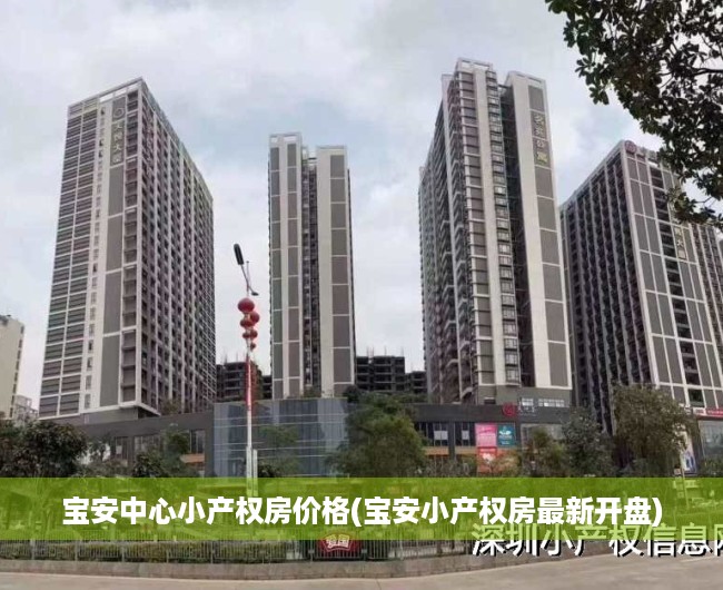 宝安中心小产权房价格(宝安小产权房最新开盘)