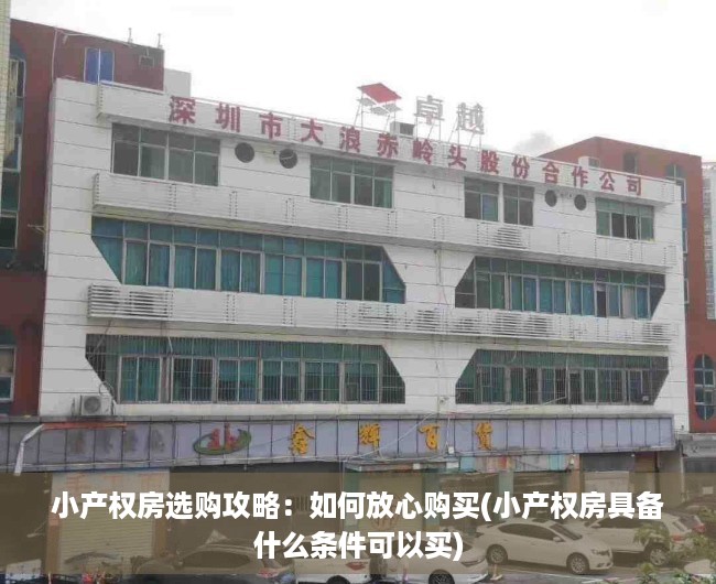 小产权房选购攻略：如何放心购买(小产权房具备什么条件可以买)