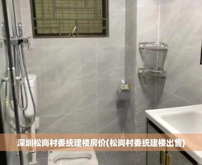 深圳松岗村委统建楼房价(松岗村委统建楼出售) 深圳松岗村委统建楼房价(松岗村委统建楼出售)