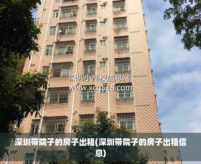 深圳带院子的房子出租(深圳带院子的房子出租信息)