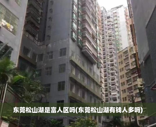 东莞松山湖是富人区吗(东莞松山湖有钱人多吗) 东莞松山湖是富人区吗(东莞松山湖有钱人多吗)